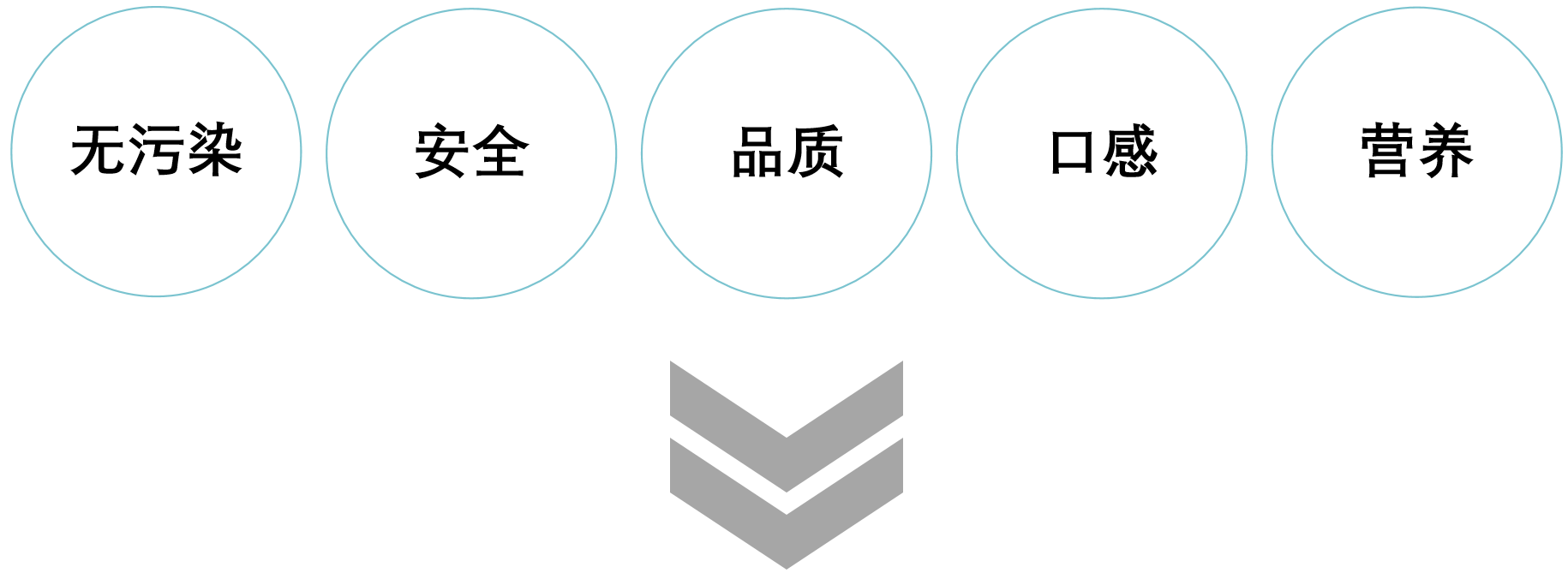 图片171.png
