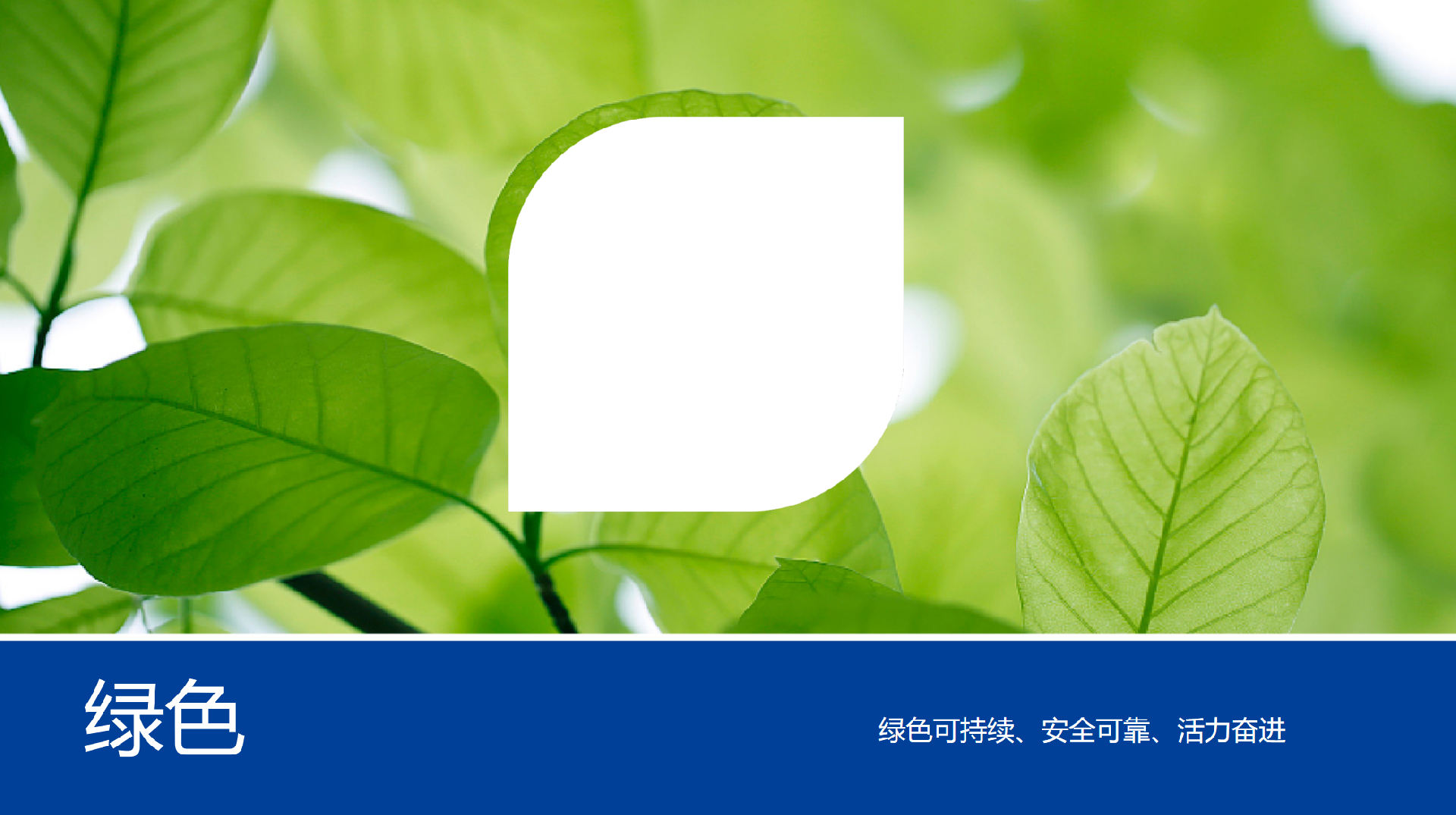 图片224.png